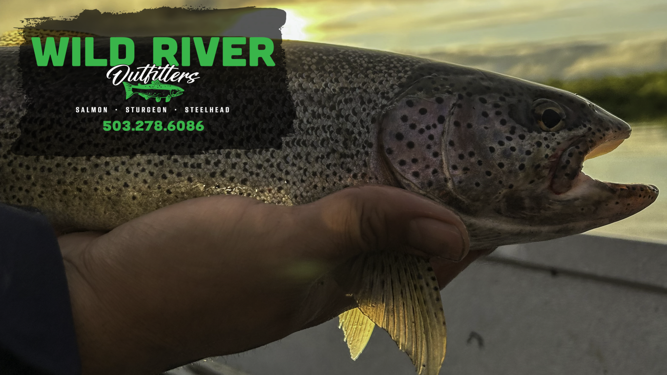 Wild River Header with Logo